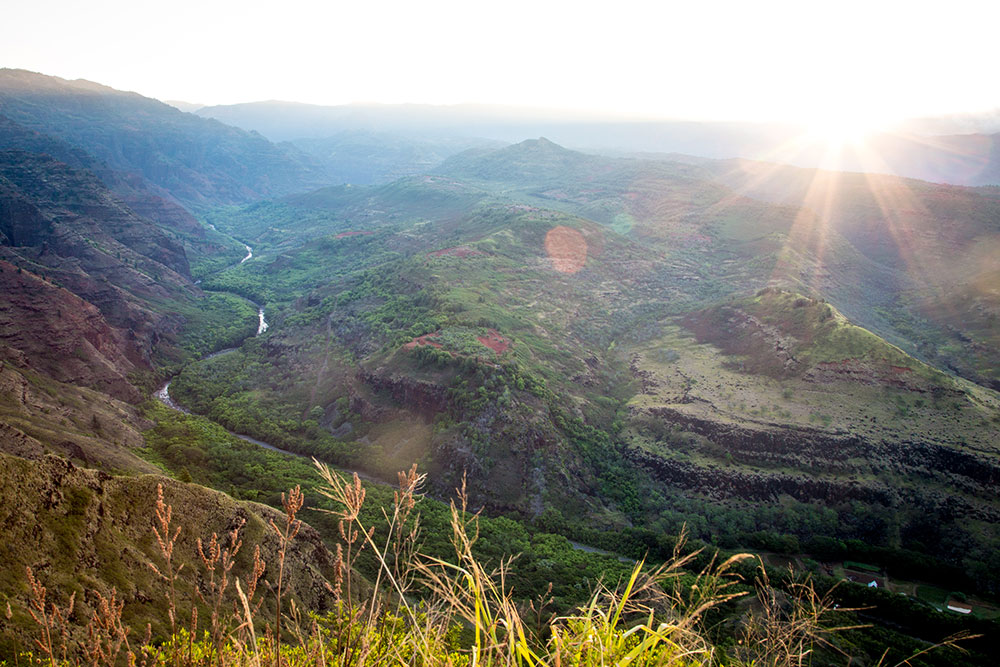 Waimea Canyon by Cherie Carter