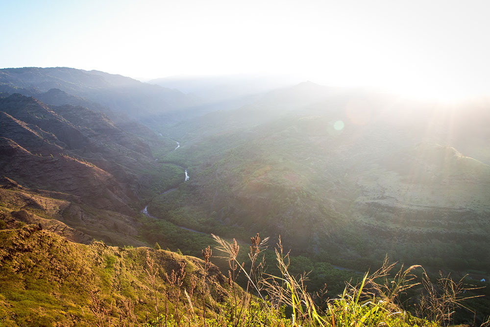 Waimea Canyon by Cherie Carter