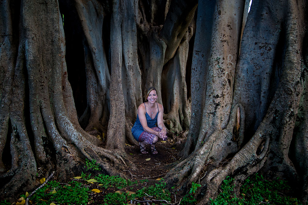 Banyan Trees Cherie Carter