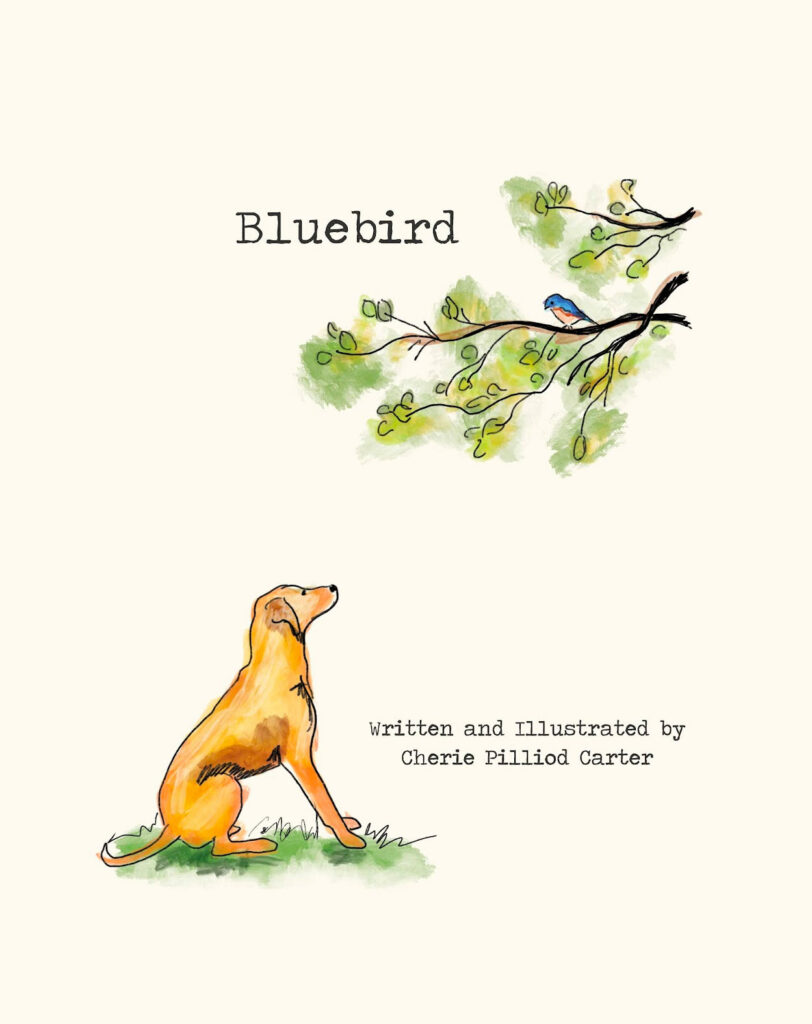 Bluebird, by Cherie Pilliod Carter