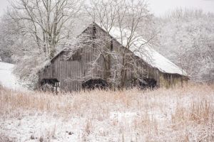 Cherie Carter Photography - Winter Barn Tennessee