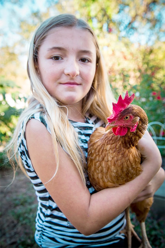 Cherie Carter Photography - Chicken Portrait