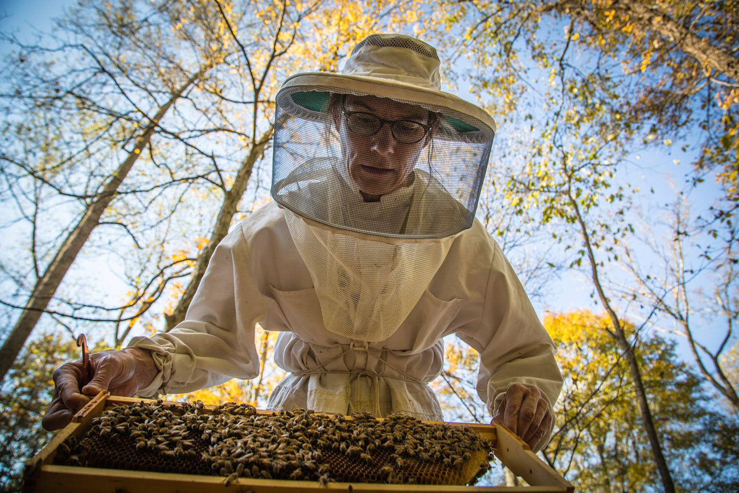 Jennier Pepper and her honeybees